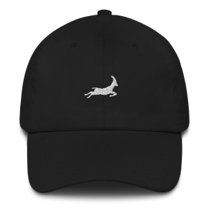 Afrique du Sud. 🇿🇦<br> L'ANTILOPE <br> Casquette animaux