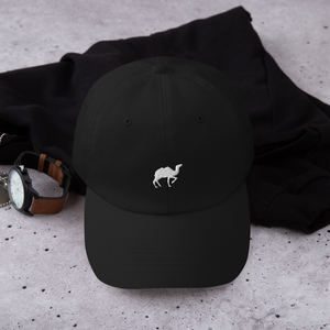 Arabie Saoudite. 🇸🇦<br> LE CHAMEAU <br> Casquette animaux