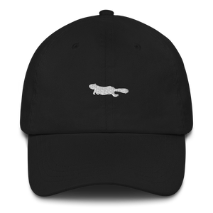 Canada. 🇨🇦 <BR> LE CASTOR <br> Casquette animaux